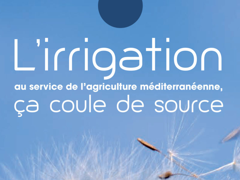 Publications-image-une