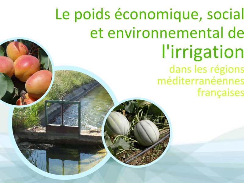 publication-poids-economique-irrigation